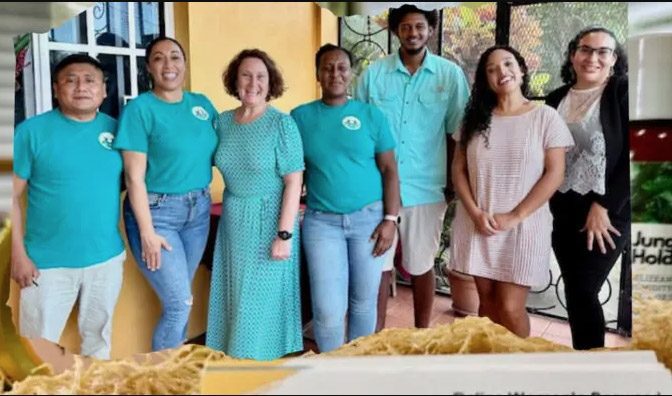 Launch of Sustainable Seaweed Project